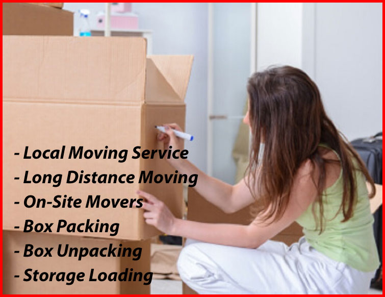 Packers And Movers Noida Sector 163